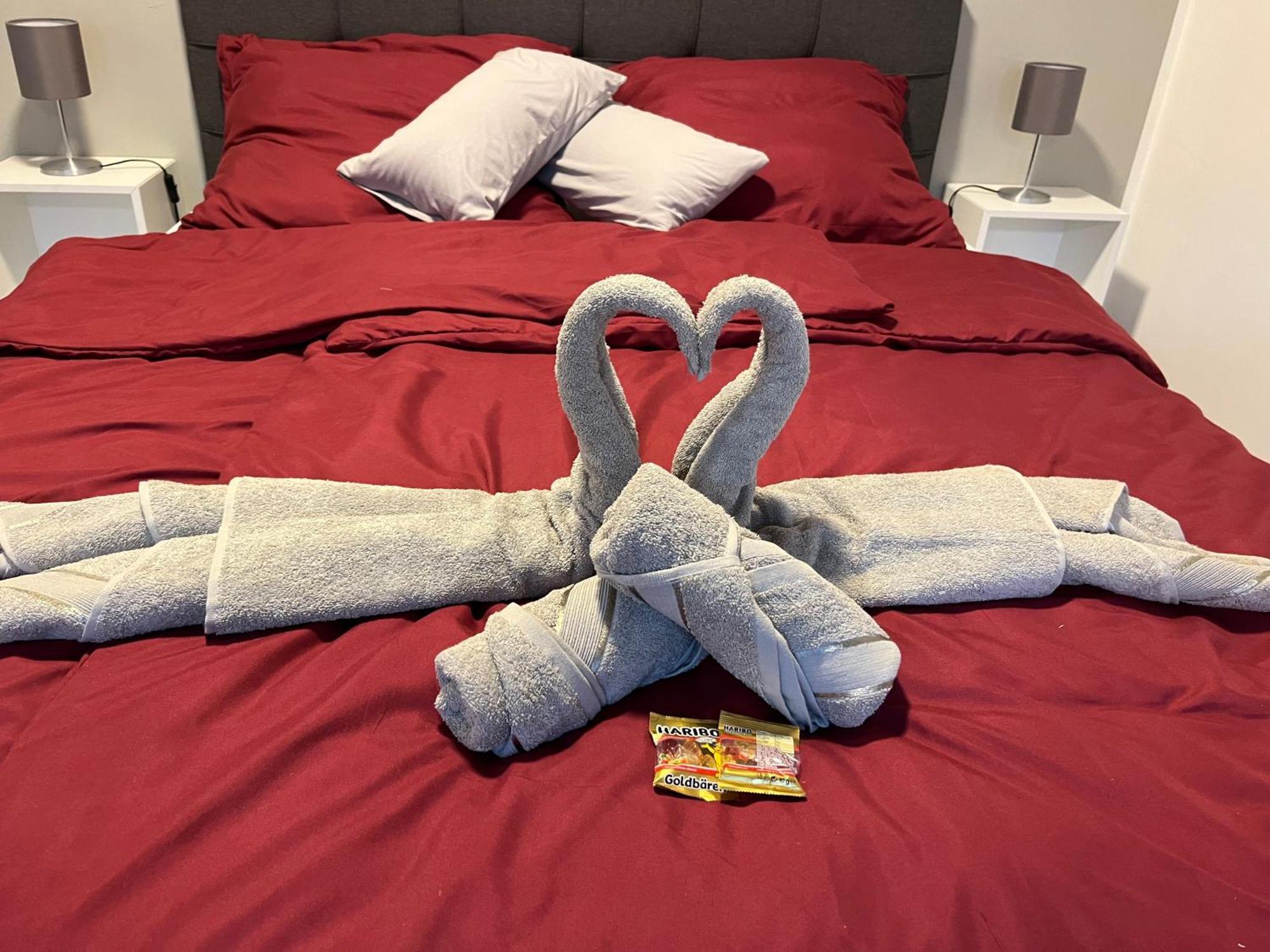Studio Am Waldschloesschen Mit Kueche Und Netflix Дрезден Екстериор снимка